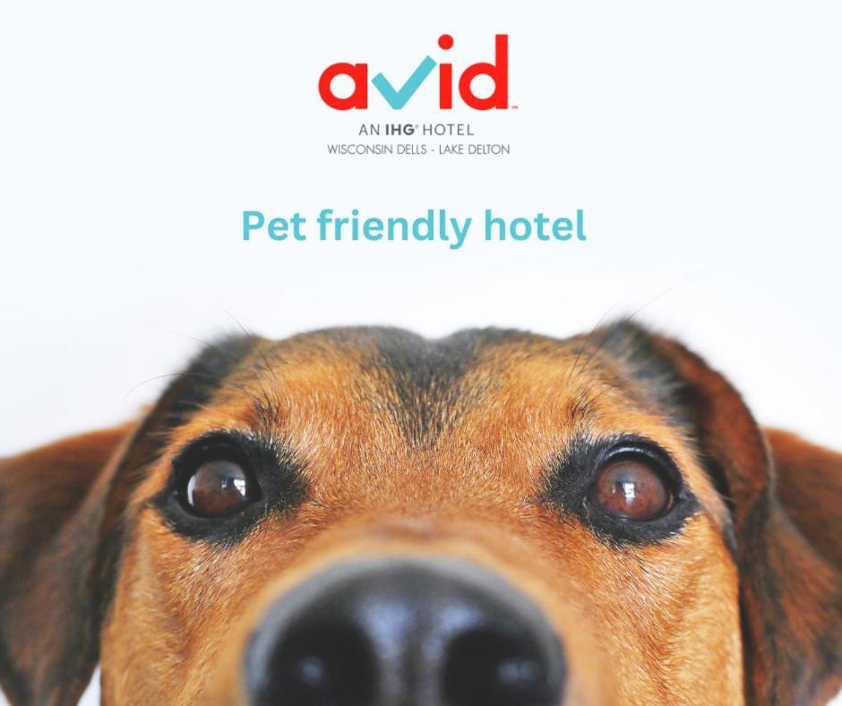Avid Hotel Wisconsin Dells Lake Delton By Ihg Luaran gambar