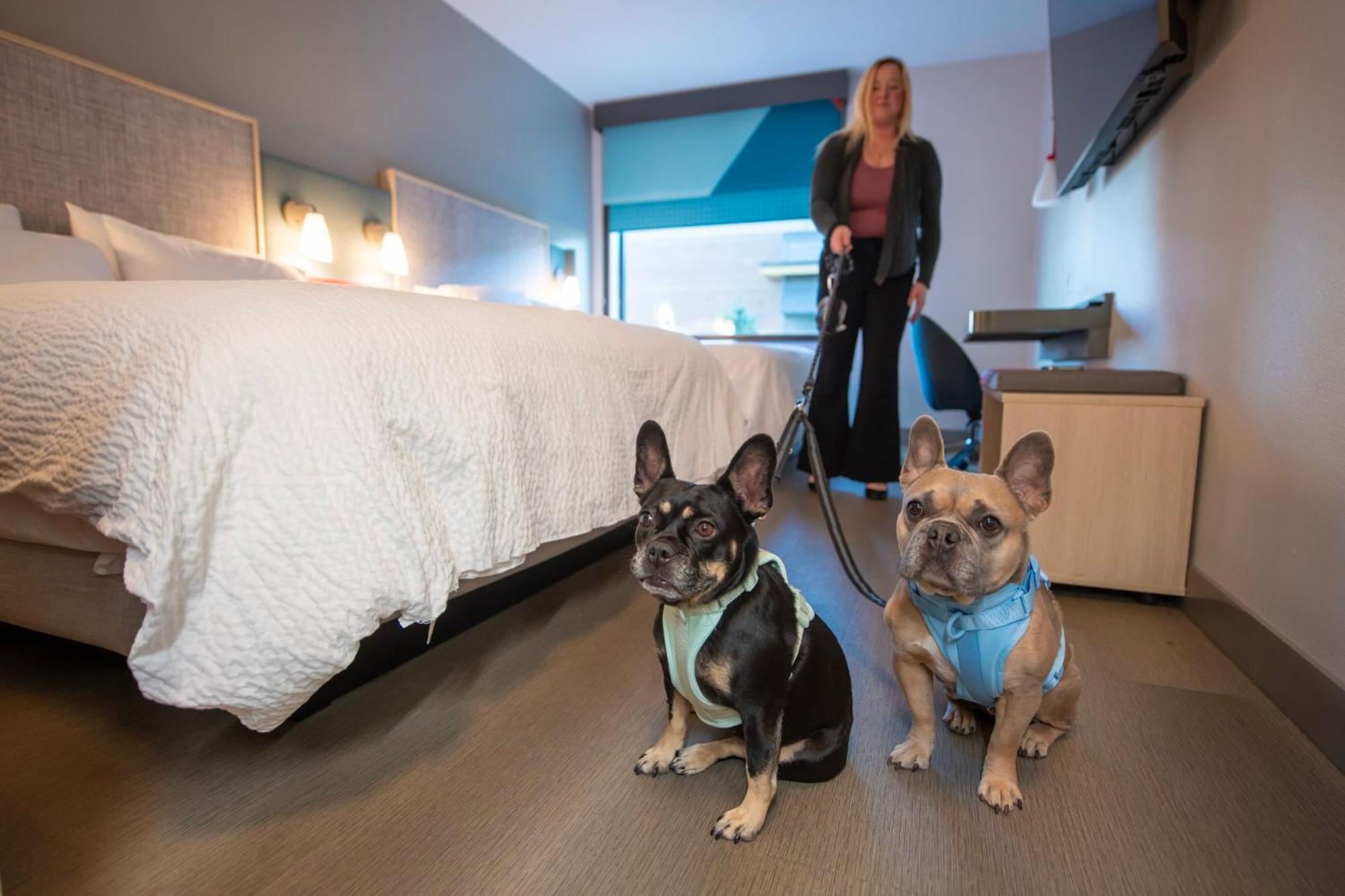 Avid Hotel Wisconsin Dells Lake Delton By Ihg Luaran gambar
